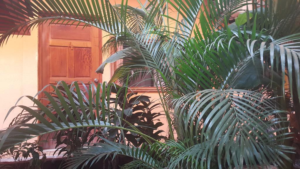 Hotel El Maltese Granada Dış mekan fotoğraf